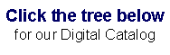 Text Box: Click the tree below for our Digital Catalog
